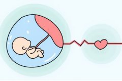 胚胎停育是什么原因造成的？一般发生在什么时候？
