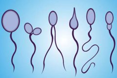 精子畸形的原因是什么?精子畸形会引起胎停吗?