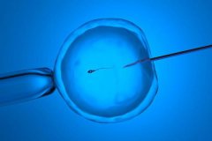 体外受精怀孕的几率有多大？和试管婴儿有什么区别？