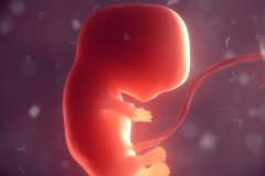 胚胎发育不良的原因是什么？发育不良会自己流掉吗？