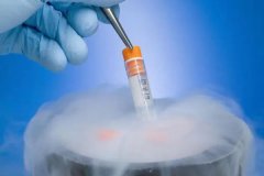 移植冻胚前注意事项？冻胚移植几天能测出来？