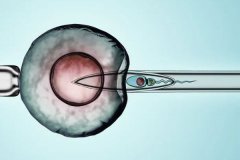 胚胎移植后会掉出来吗？试管移植前可以同房吗？