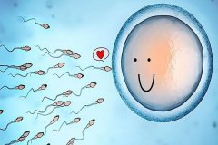 精子和卵子结合需要多久怀孕？卵子与精子结合症状是什么？