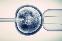 冻胚移植成功率高吗？月经第几天做冻胚移植？