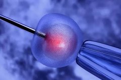 移植胚胎成功率有多少？放一个胚胎成功率大吗？